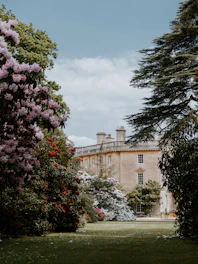 A historic building surrounded by lush greenery, symbolizing preservation.