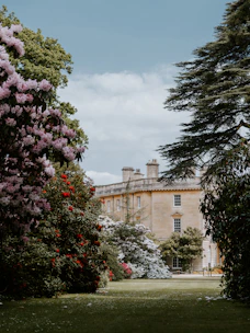 A historic building surrounded by lush greenery, symbolizing preservation.