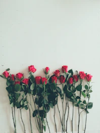Close-up of elegant single-stem roses arranged in a minimalist style.