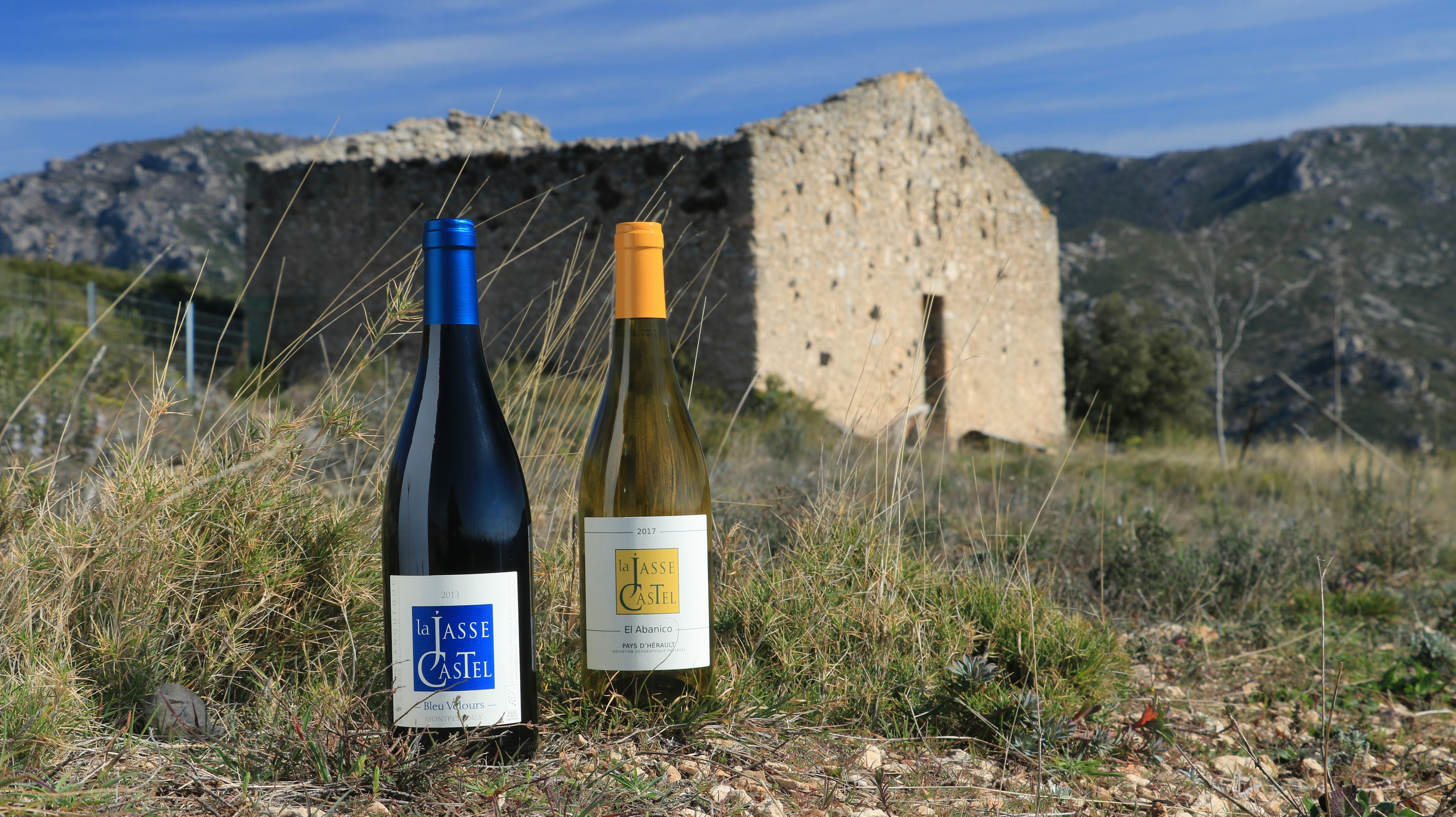 El Yapımı Şaraplar