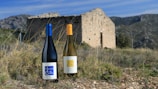 Two wine bottles with labels stand on a grassy field. They are positioned in front of an old, stone structure with mountains in the background. The scene is set under a clear blue sky, with wild grasses and stones scattered across the landscape.