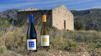 Two wine bottles with labels stand on a grassy field. They are positioned in front of an old, stone structure with mountains in the background. The scene is set under a clear blue sky, with wild grasses and stones scattered across the landscape.