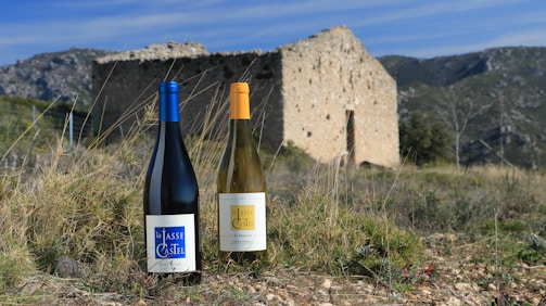Two wine bottles with labels stand on a grassy field. They are positioned in front of an old, stone structure with mountains in the background. The scene is set under a clear blue sky, with wild grasses and stones scattered across the landscape.