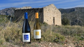 Two wine bottles with labels stand on a grassy field. They are positioned in front of an old, stone structure with mountains in the background. The scene is set under a clear blue sky, with wild grasses and stones scattered across the landscape.