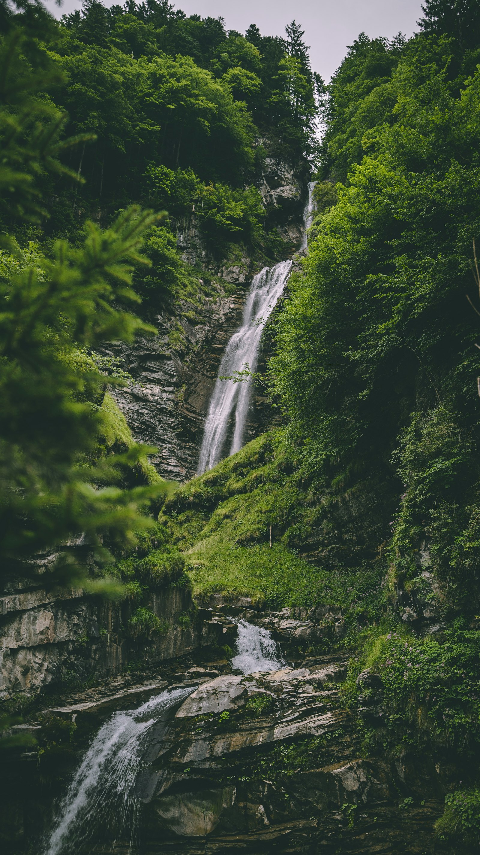 Sony a7S II sample photo. Waterfall between trees photography