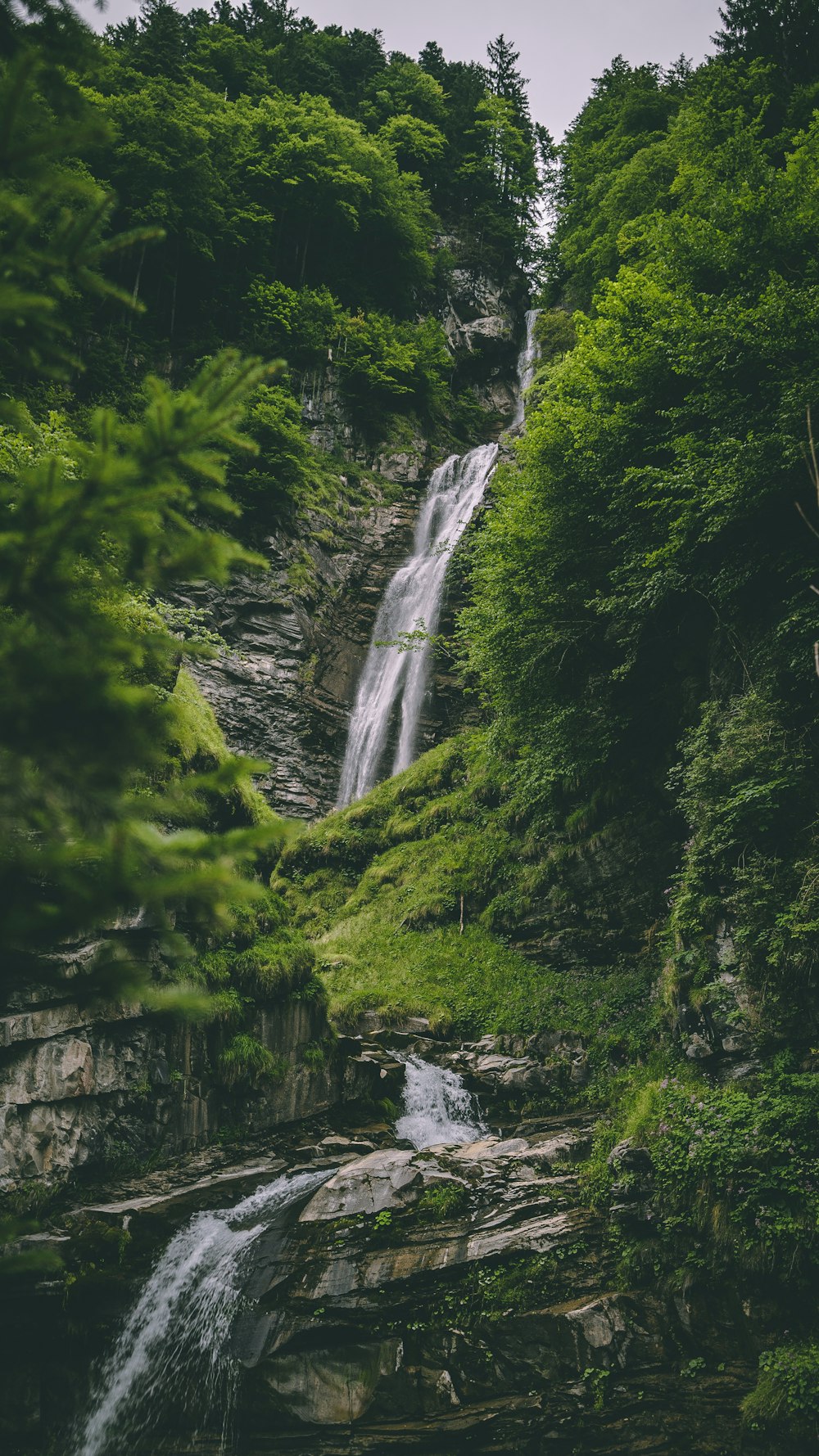 waterfall between trees