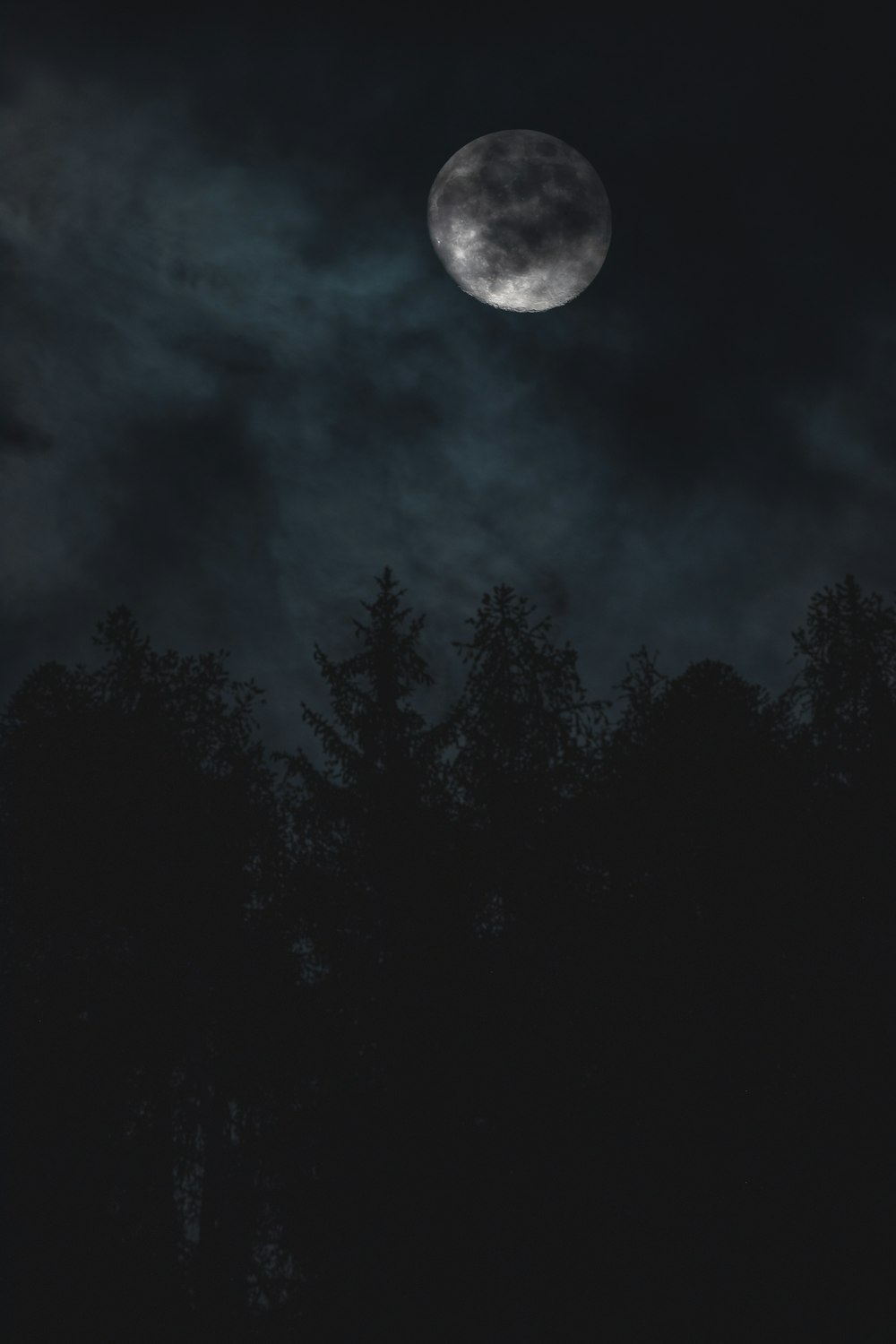 Midnight Midnight