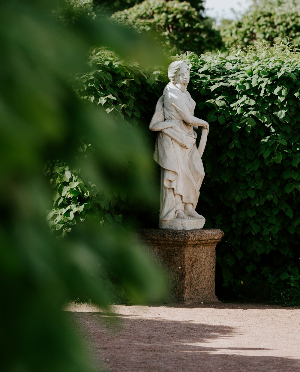 shallow focus photo of statue beside plants