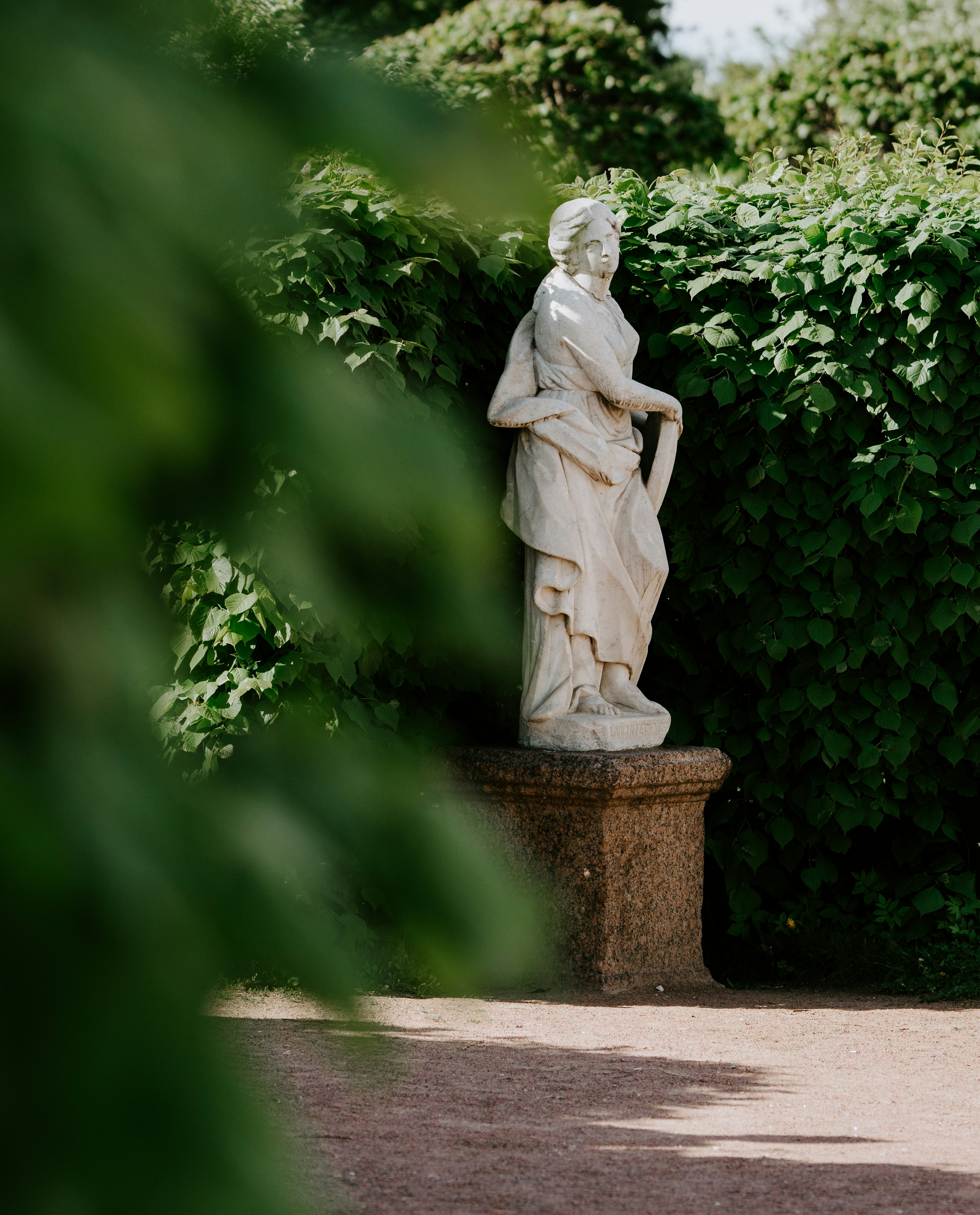 shallow focus photo of statue beside plants