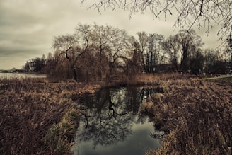 A serene landscape photo taken during a reflective walk, with dark tones and silver highlights.