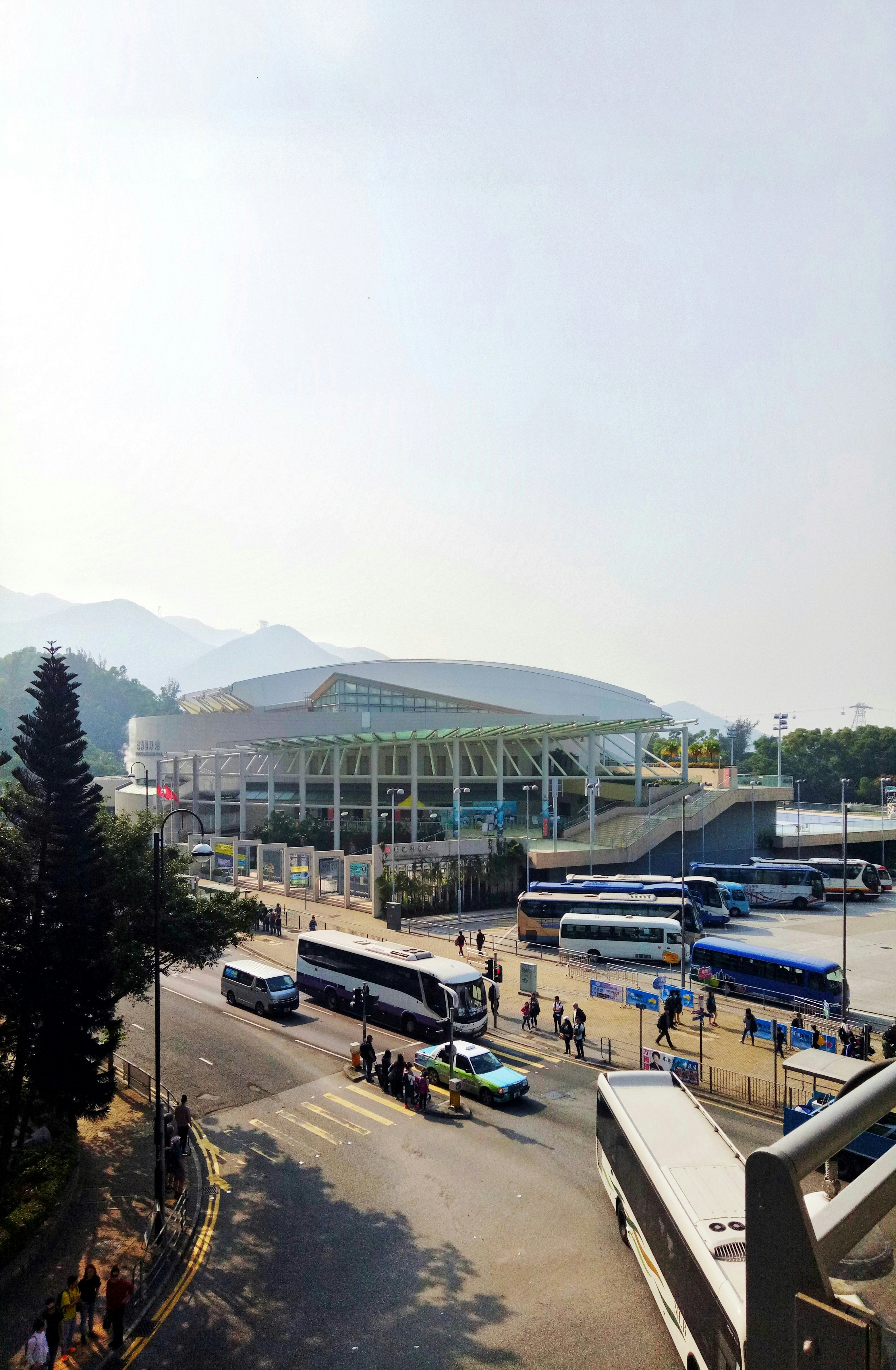 From Street to the Stadium: Inspiring Journeys of 2025