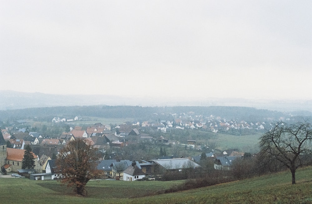 Dorf und Bäume tagsüber