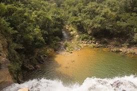 A lush, green forest surrounds a small, serene river. The water appears clear, cascading over rocks at the bottom of the image. The riverbanks are lined with dense vegetation and exposed stone surfaces, creating a natural, untouched environment.