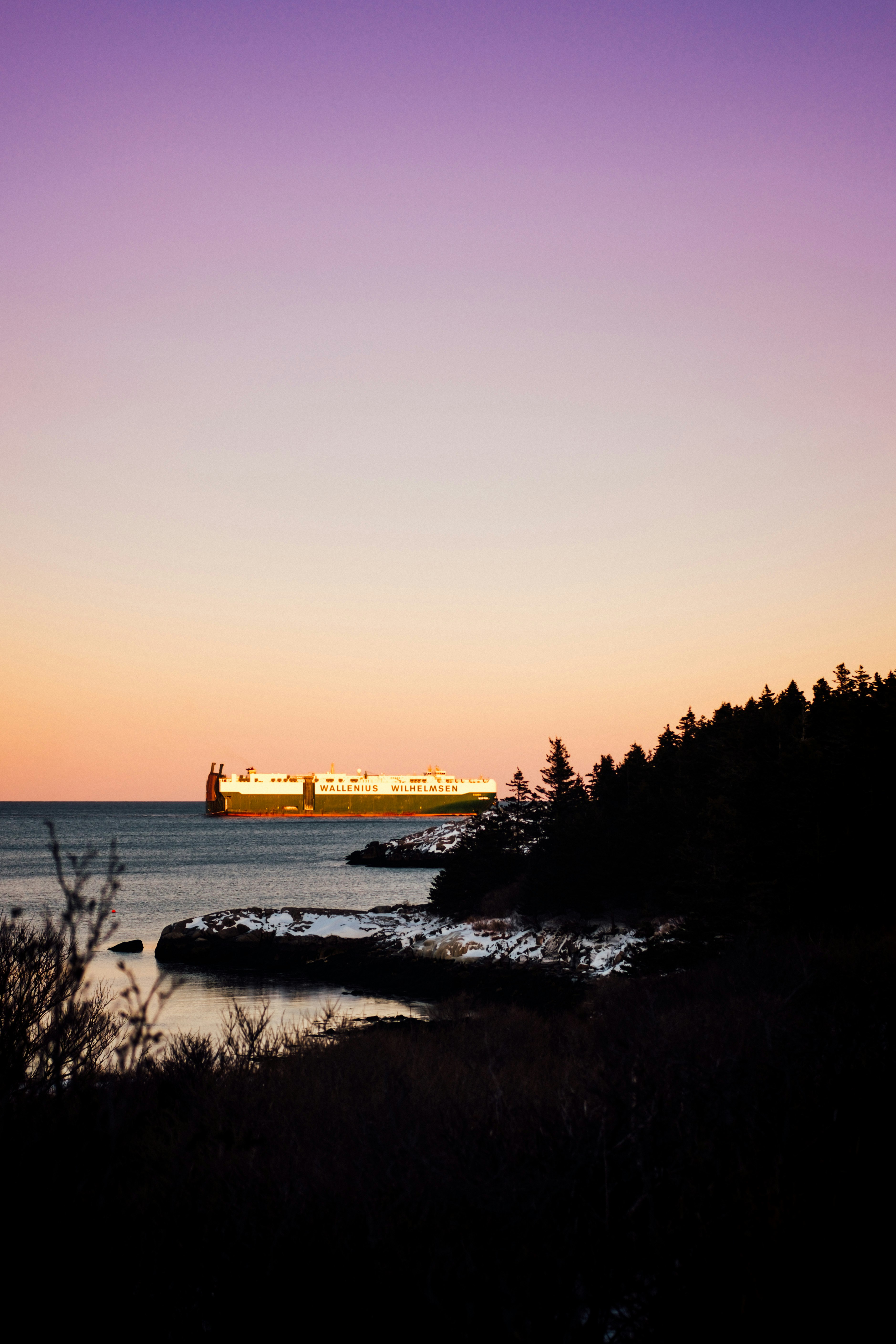 cruise ship on the ocean near island