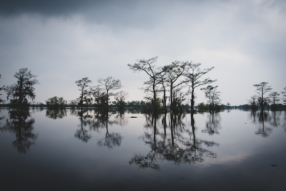 Louisiana lake near a luxury RV park