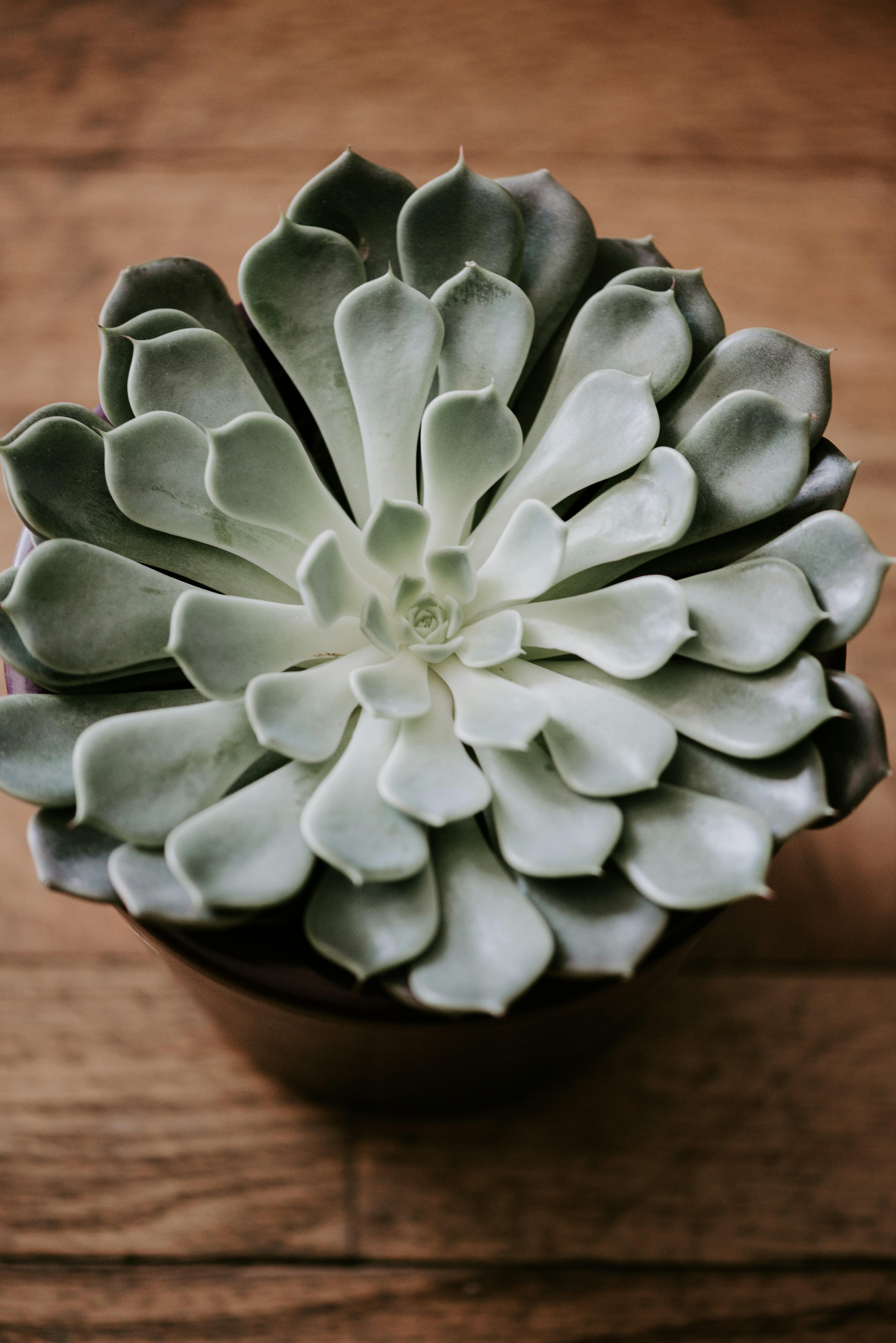 Photo by laurapatrickphotography