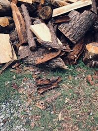 A busy yard waste disposal site with piles of logs and brush.