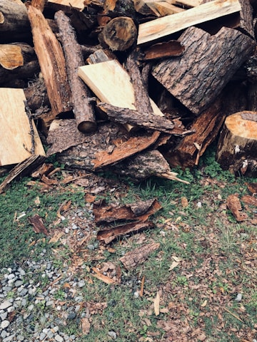 A busy yard waste disposal site with piles of logs and brush.