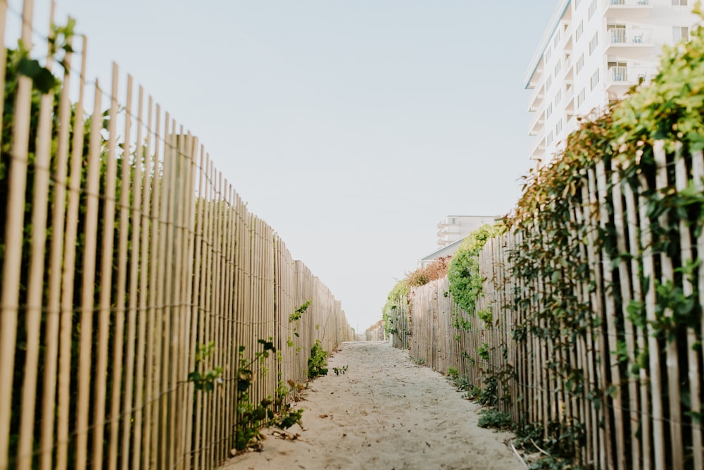white bamboo fence