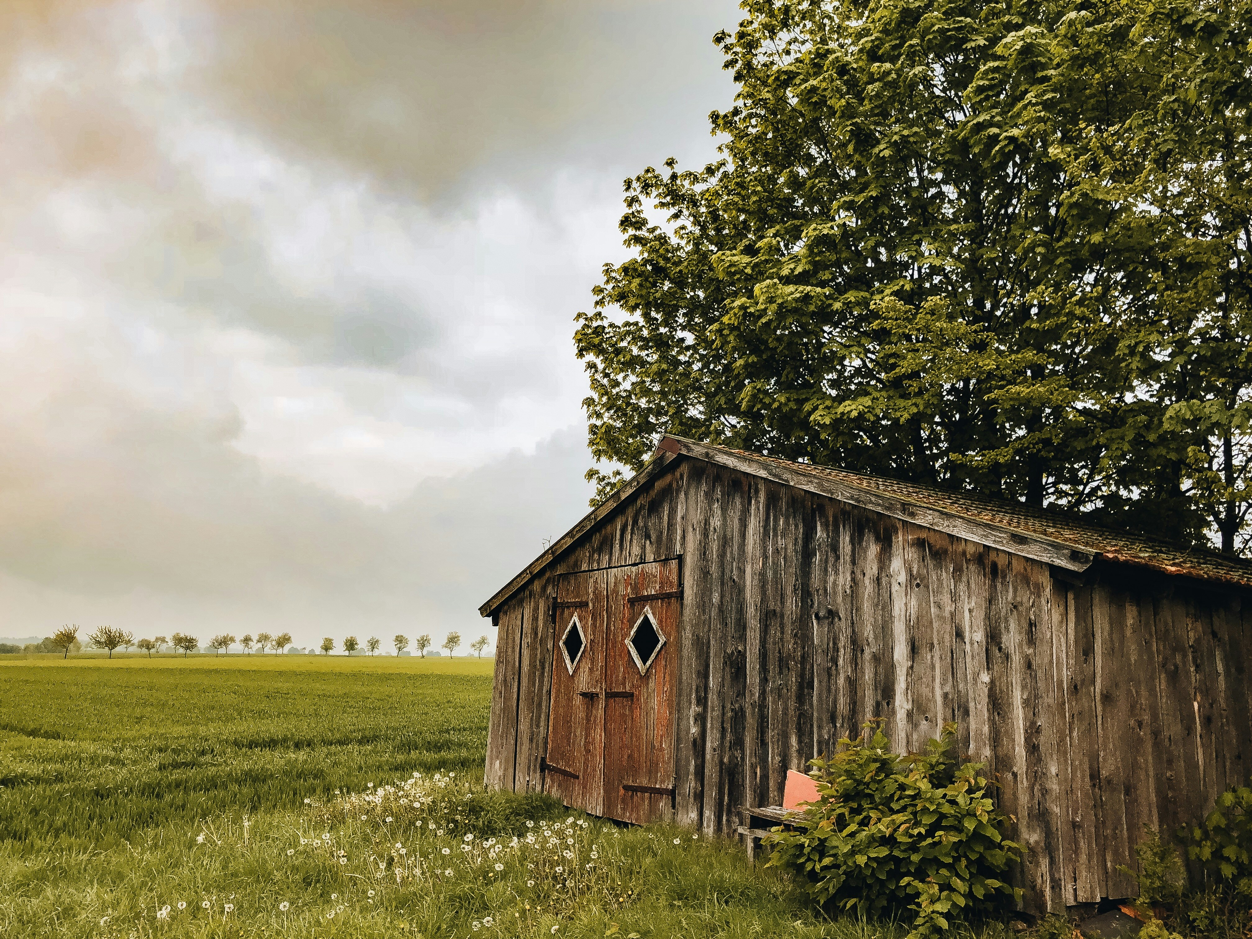 Photo by niklasgatsby