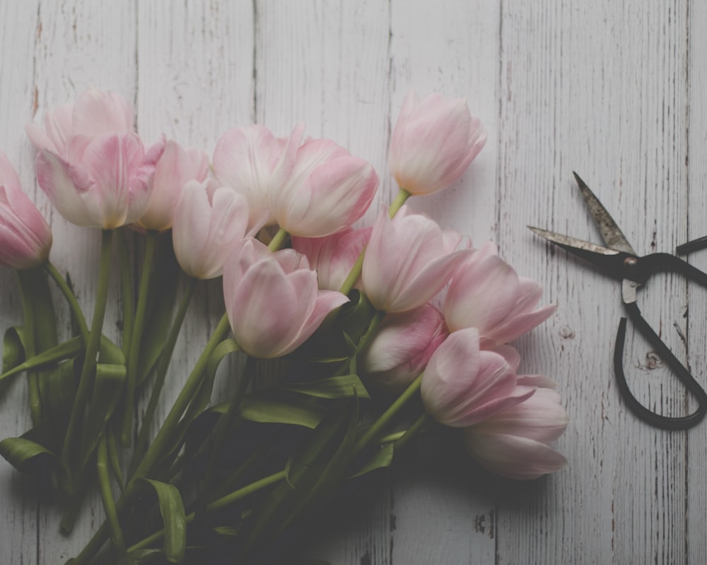 un bouquet de tulipes roses assis à côté d’une paire de ciseaux