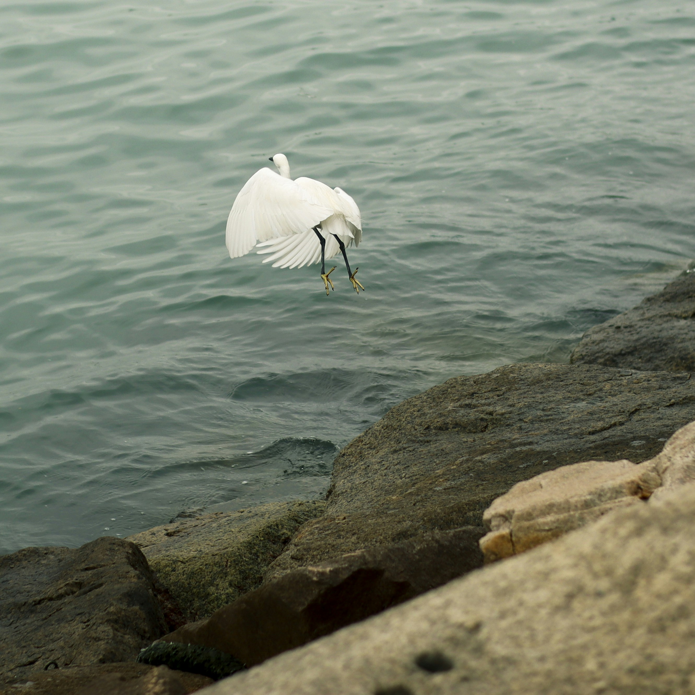 Photo by arronchoi