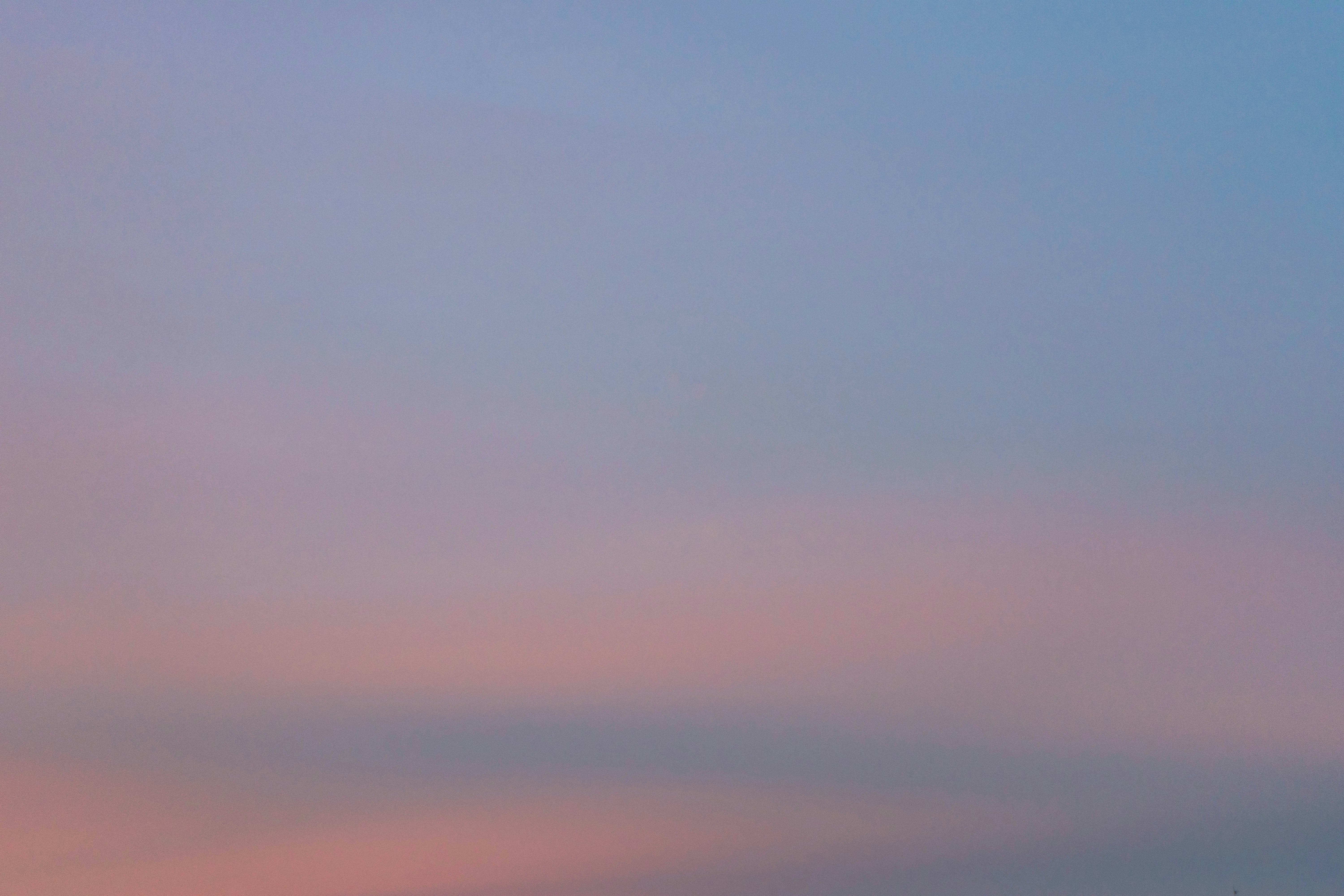 Photo by virussinside