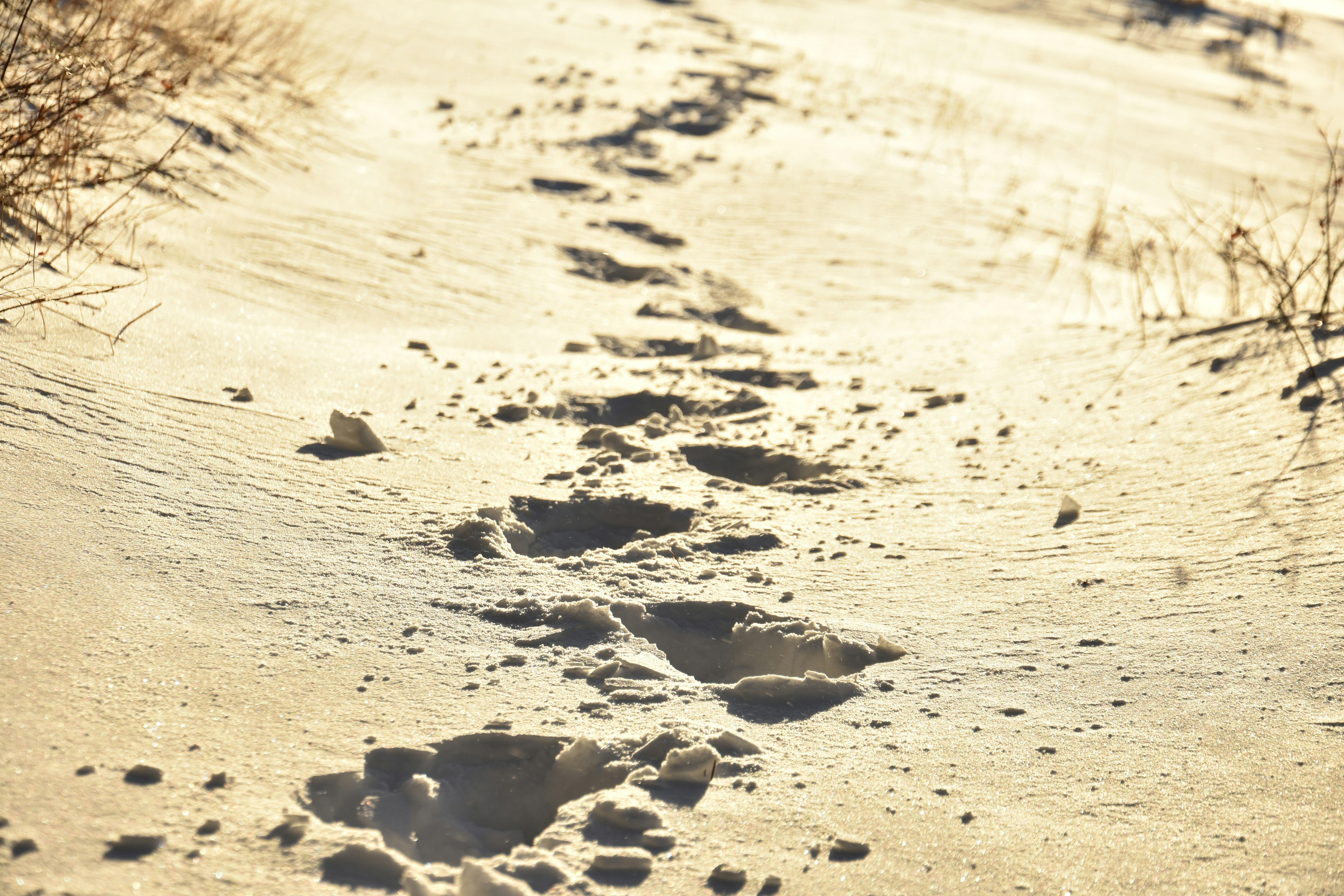 Photo by jaywilliams7711