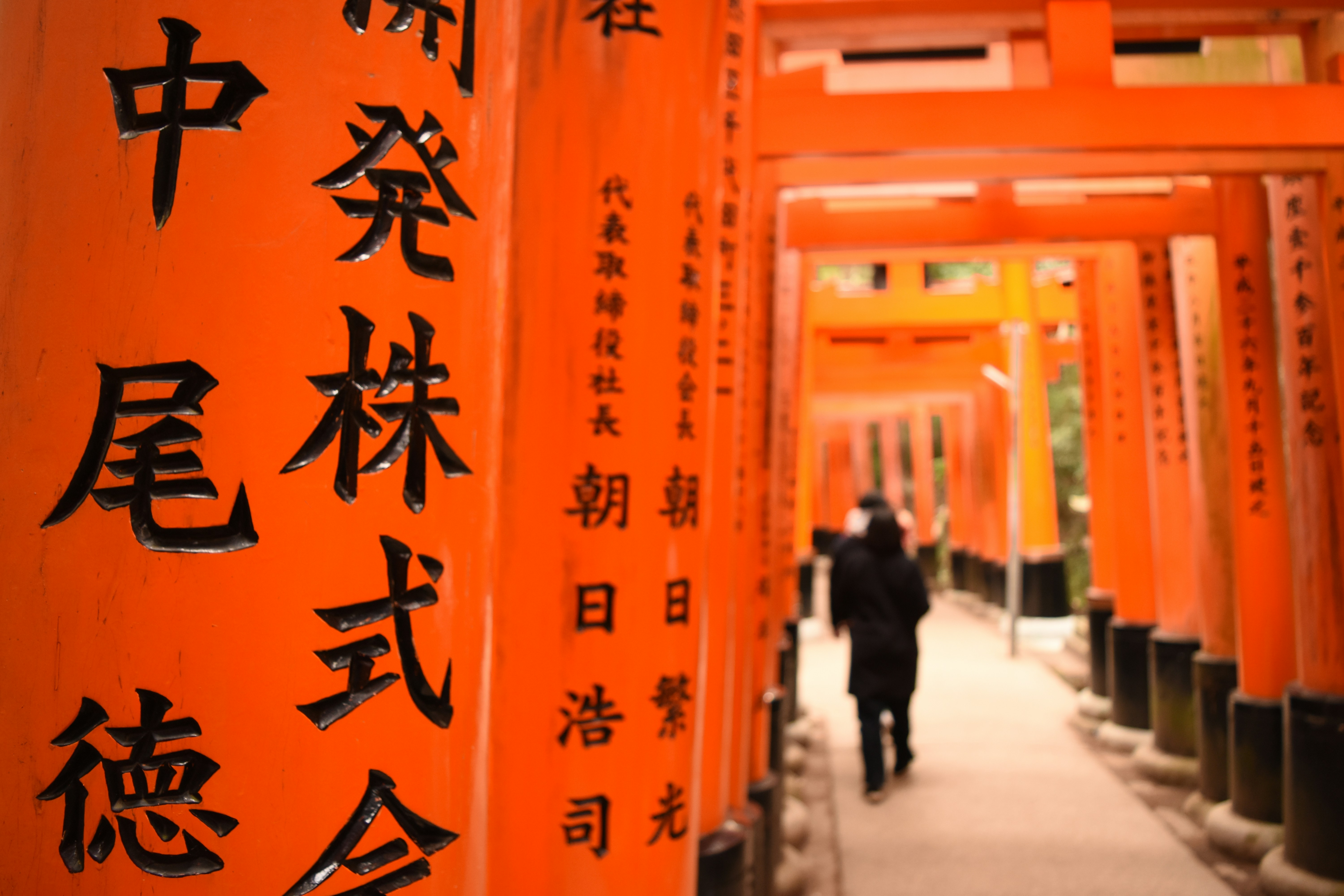 Photo by chungsachorong