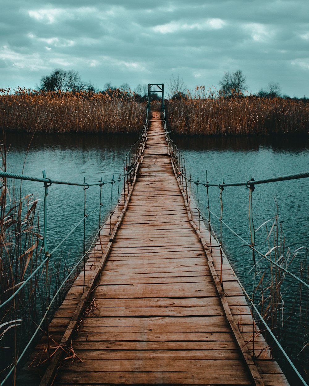 Pont en bois brun au-dessus d’un plan d’eau