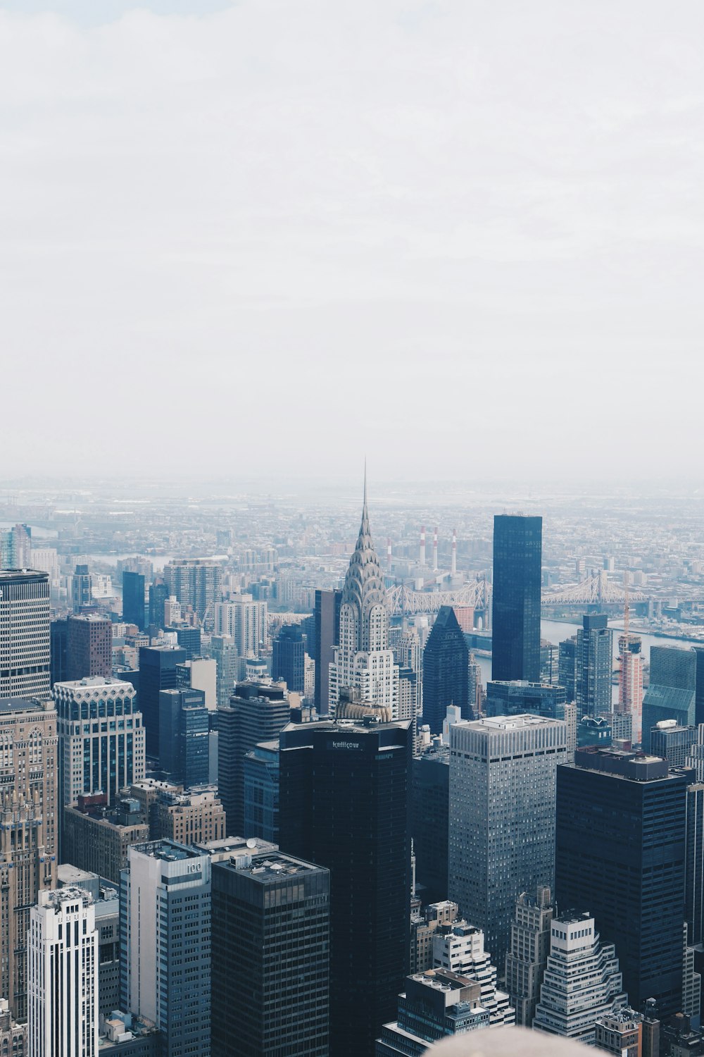 aerial photography of buildings