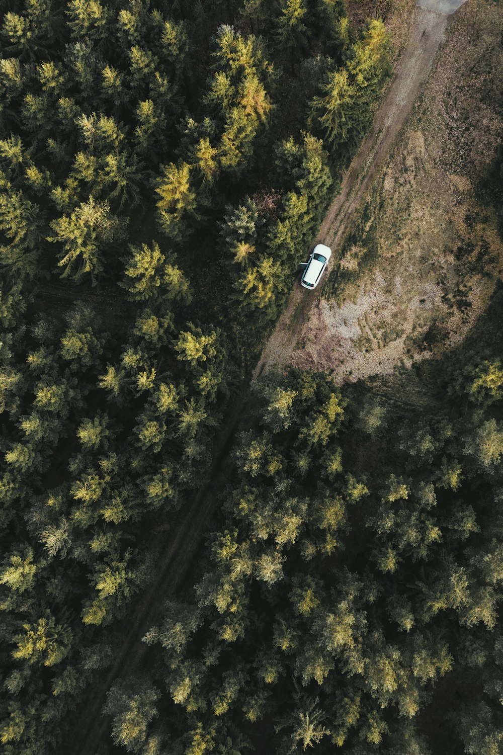 森の中の白い車の鳥瞰写真