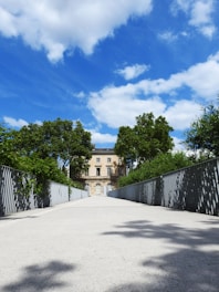 gray road towards brown and black house