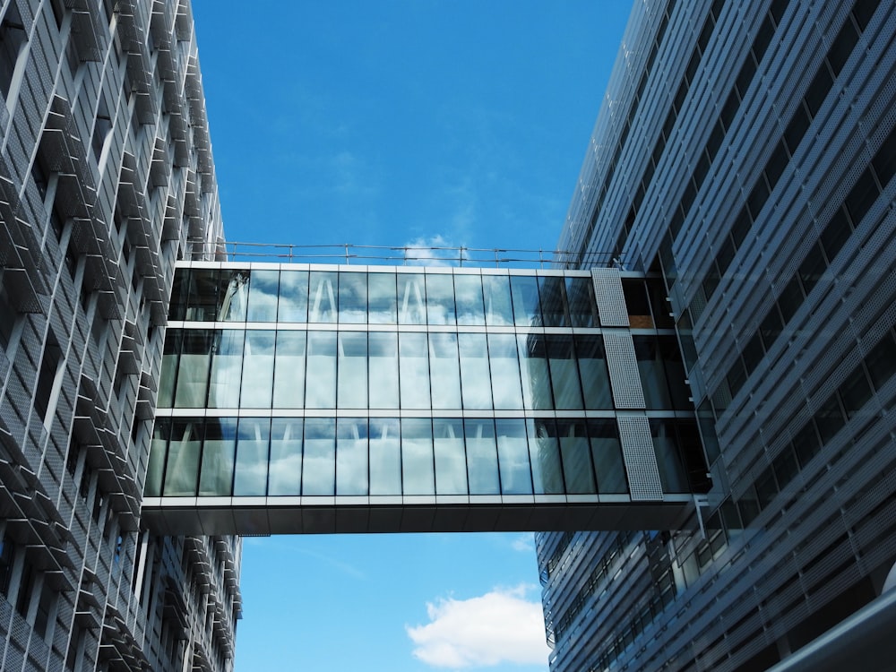 curtain glass building during daytime