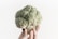 A hand holding a single, large head of broccoli against a plain, light background. The broccoli is lush and textured, with a vibrant green color.