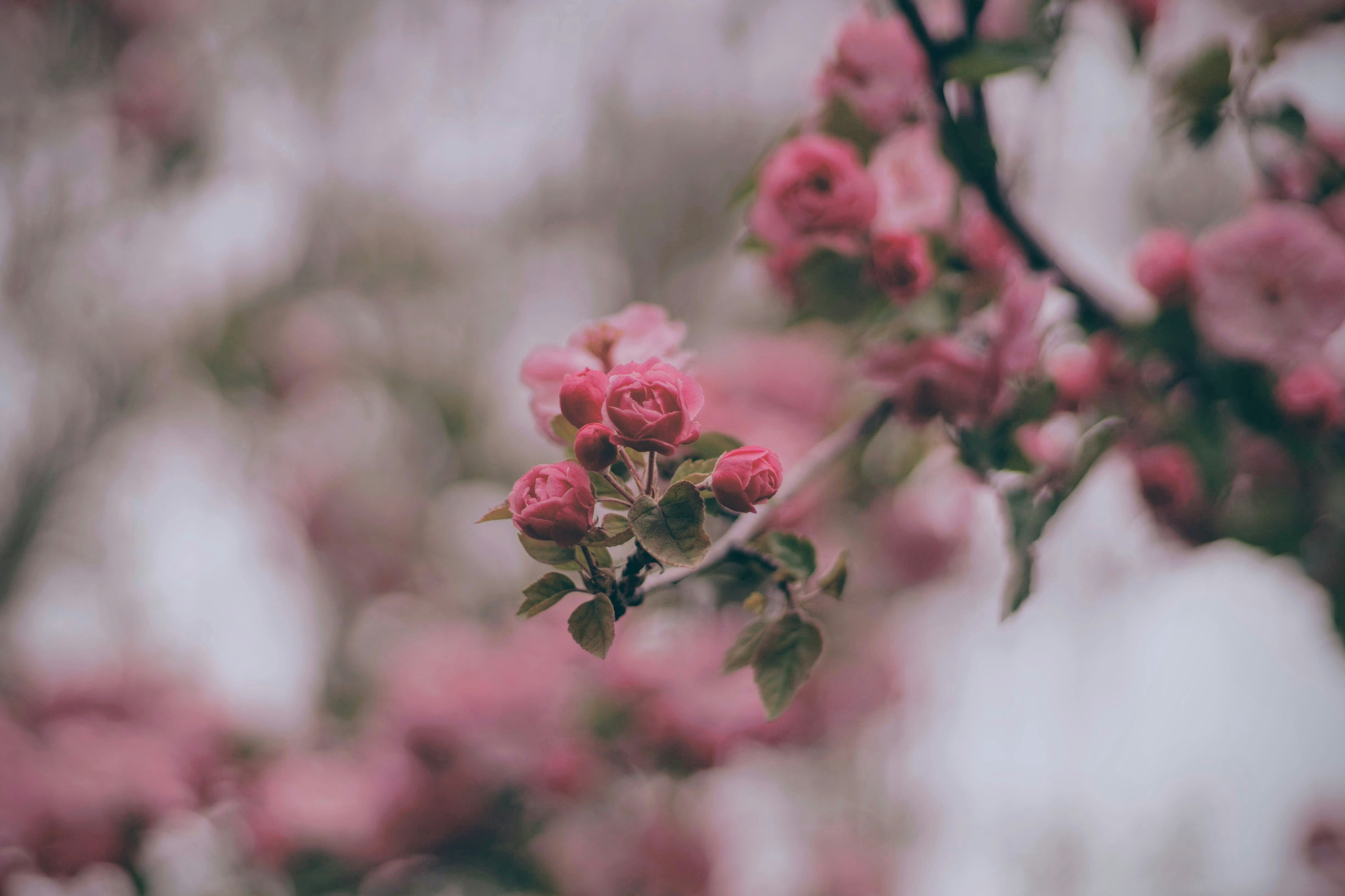 Photo by joshua_hoehne