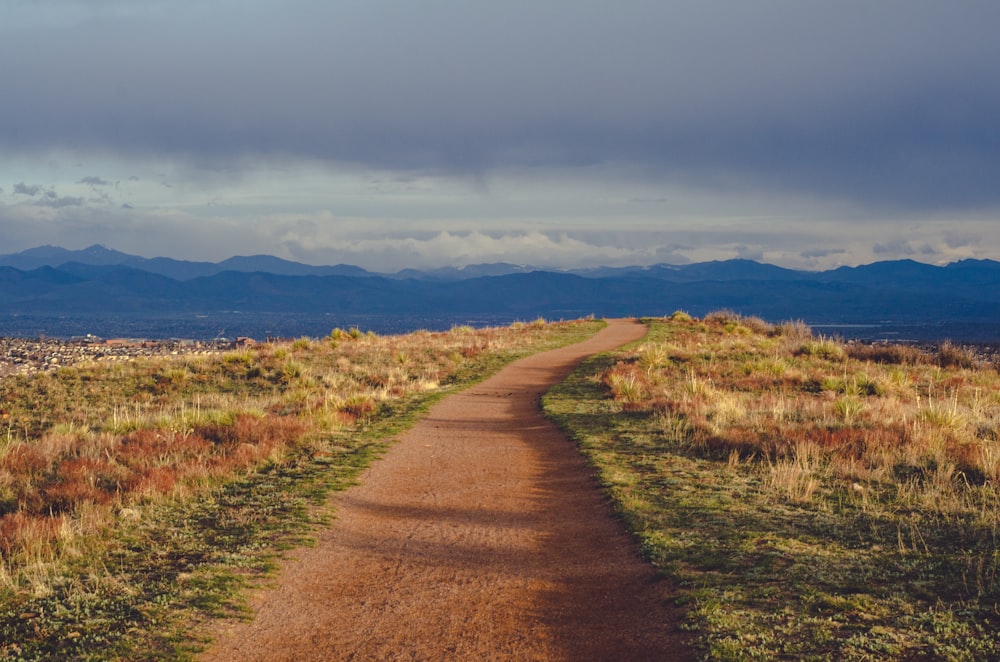 brown road towards mountains