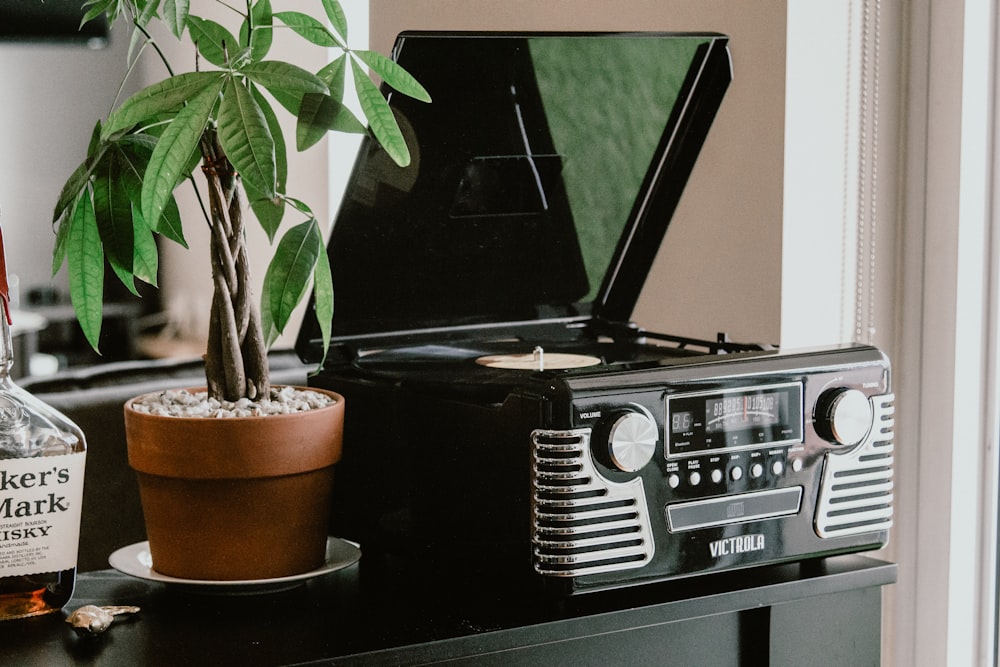 plant beside vinyl player