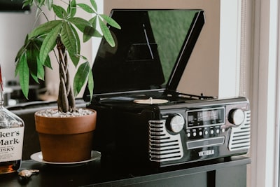 plant beside vinyl player classic zoom background
