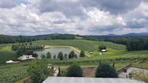 A scenic landscape of a vineyard stretching across rolling hills, with neat rows of grapevines surrounding a small pond. There are a few buildings scattered across the lush green terrain. The sky is partly cloudy, adding a dramatic touch to the horizon, while distant mountains can be seen in the background.