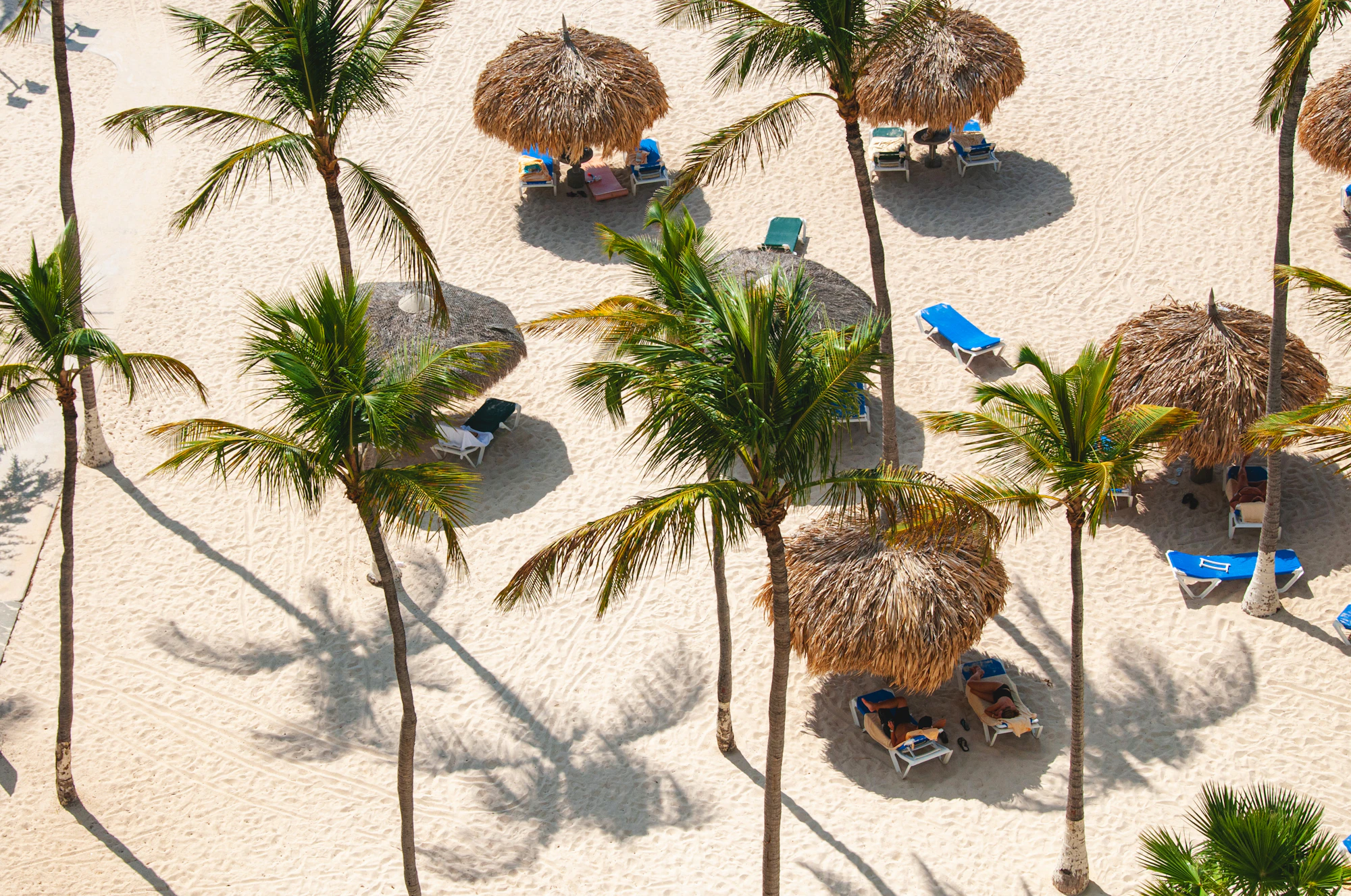 A sandy resort beach with palm trees and lounge chairs