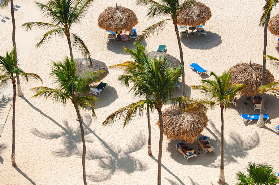 A sandy resort beach with palm trees and lounge chairs