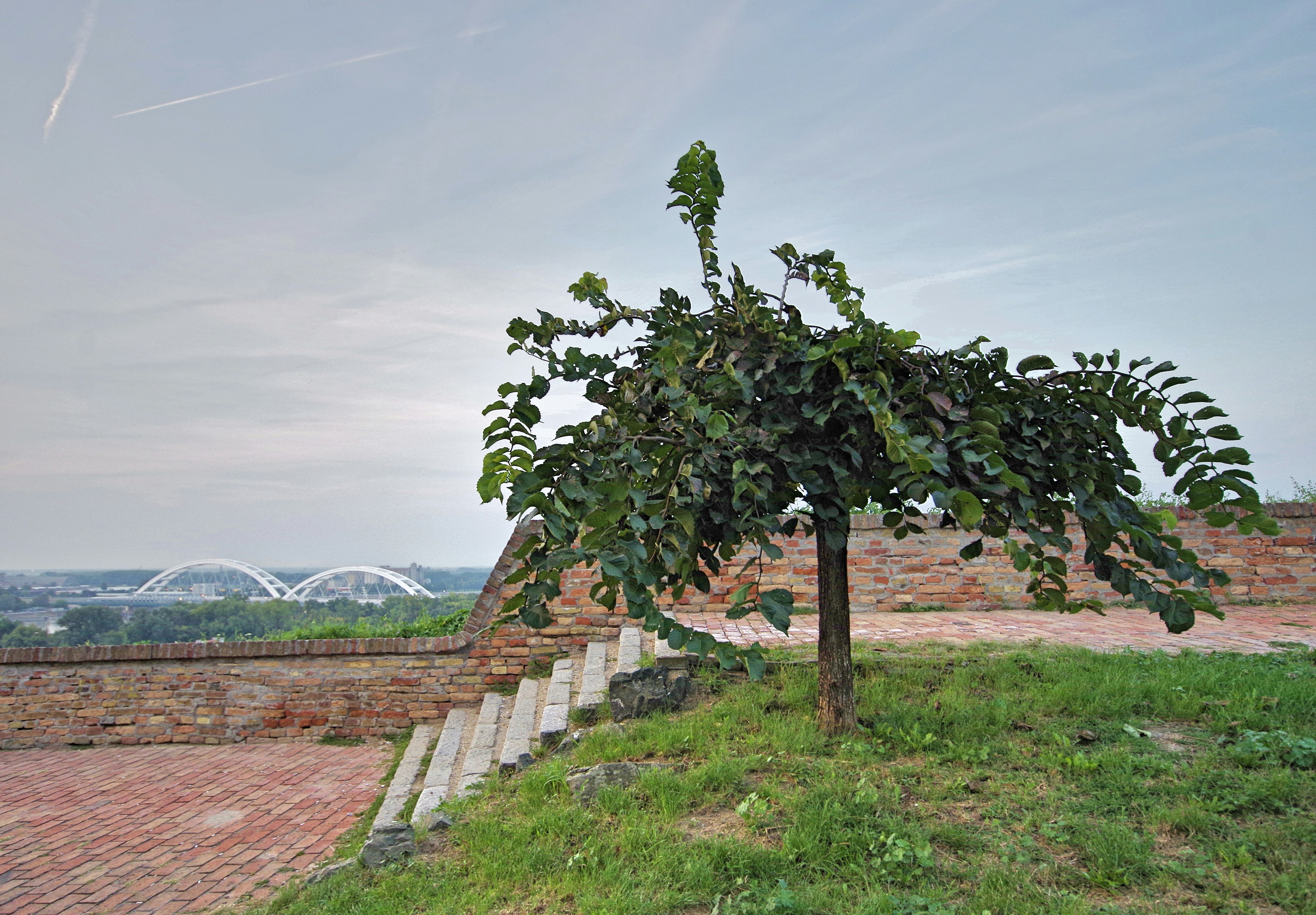 Planty Mistrzejowickie