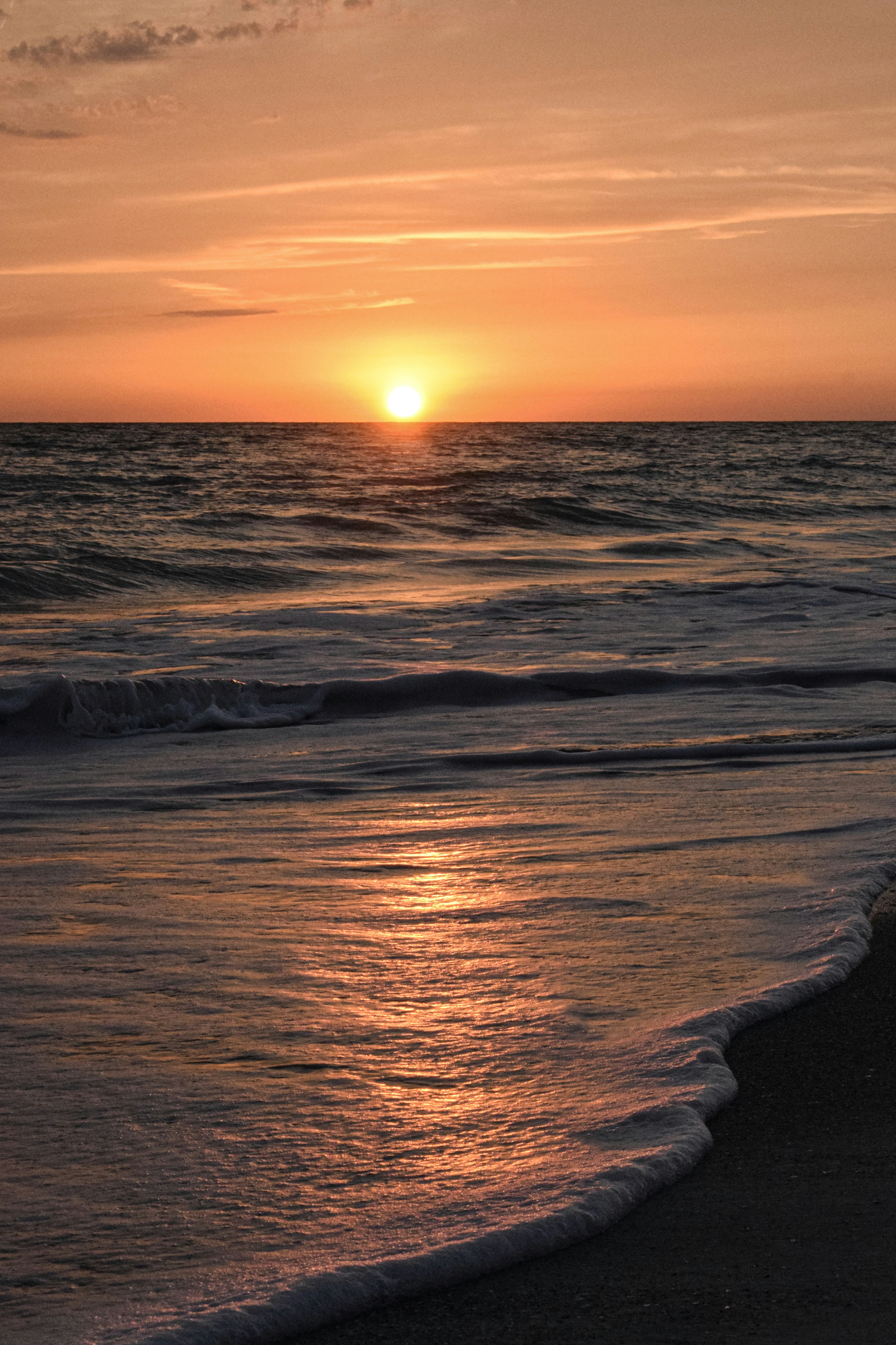 Photo by taylor_cowling_photos