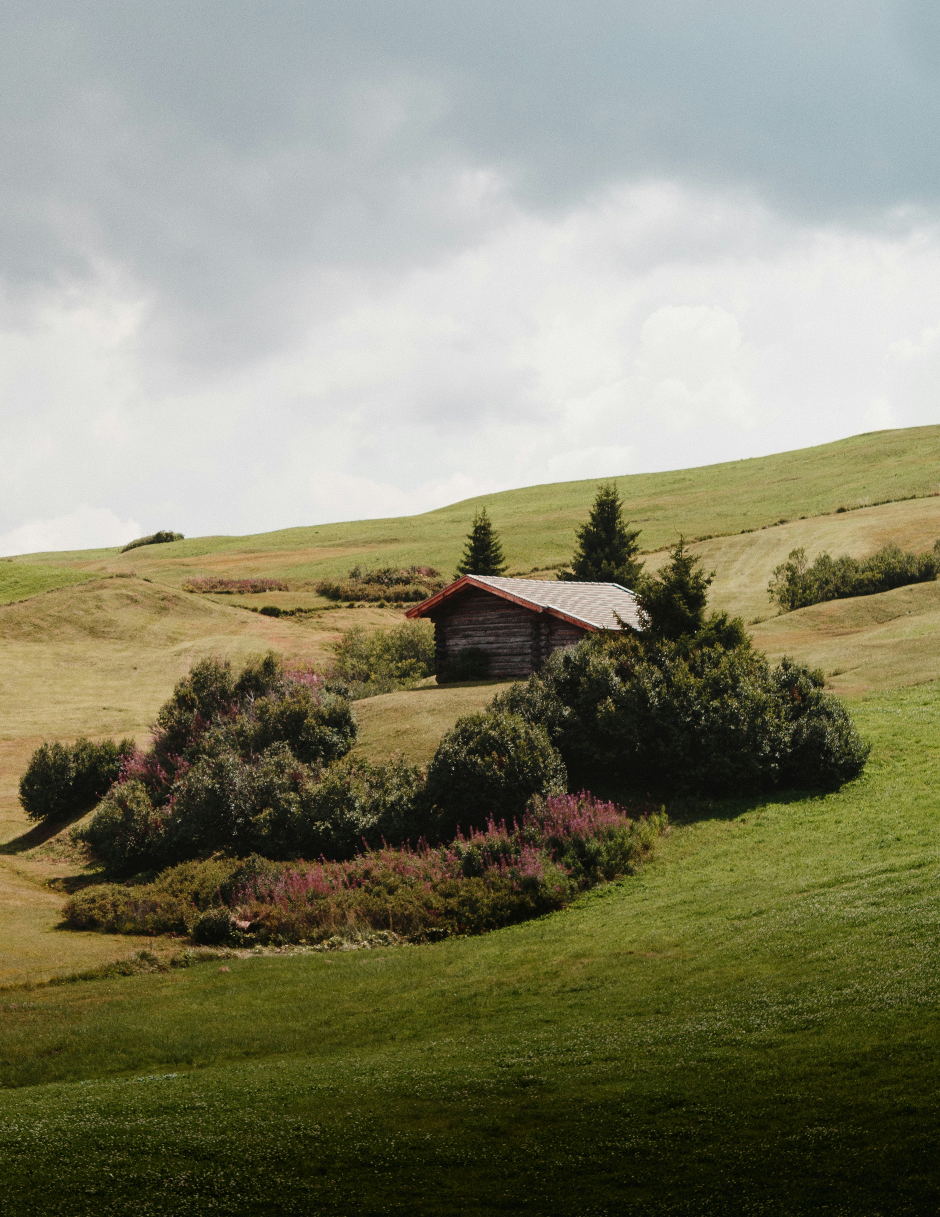 gray house surrounded with grass