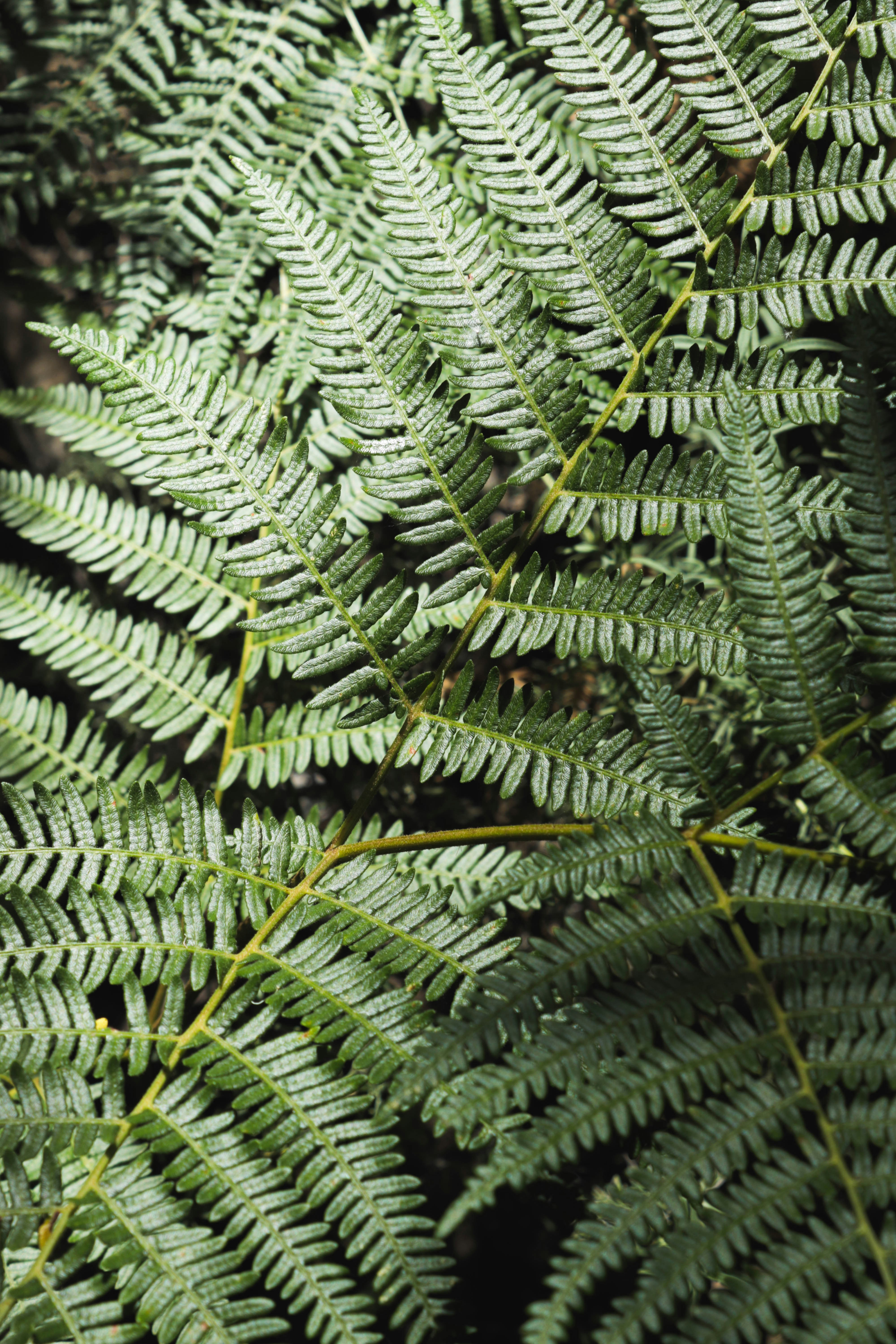 Photo by adrian_mateii