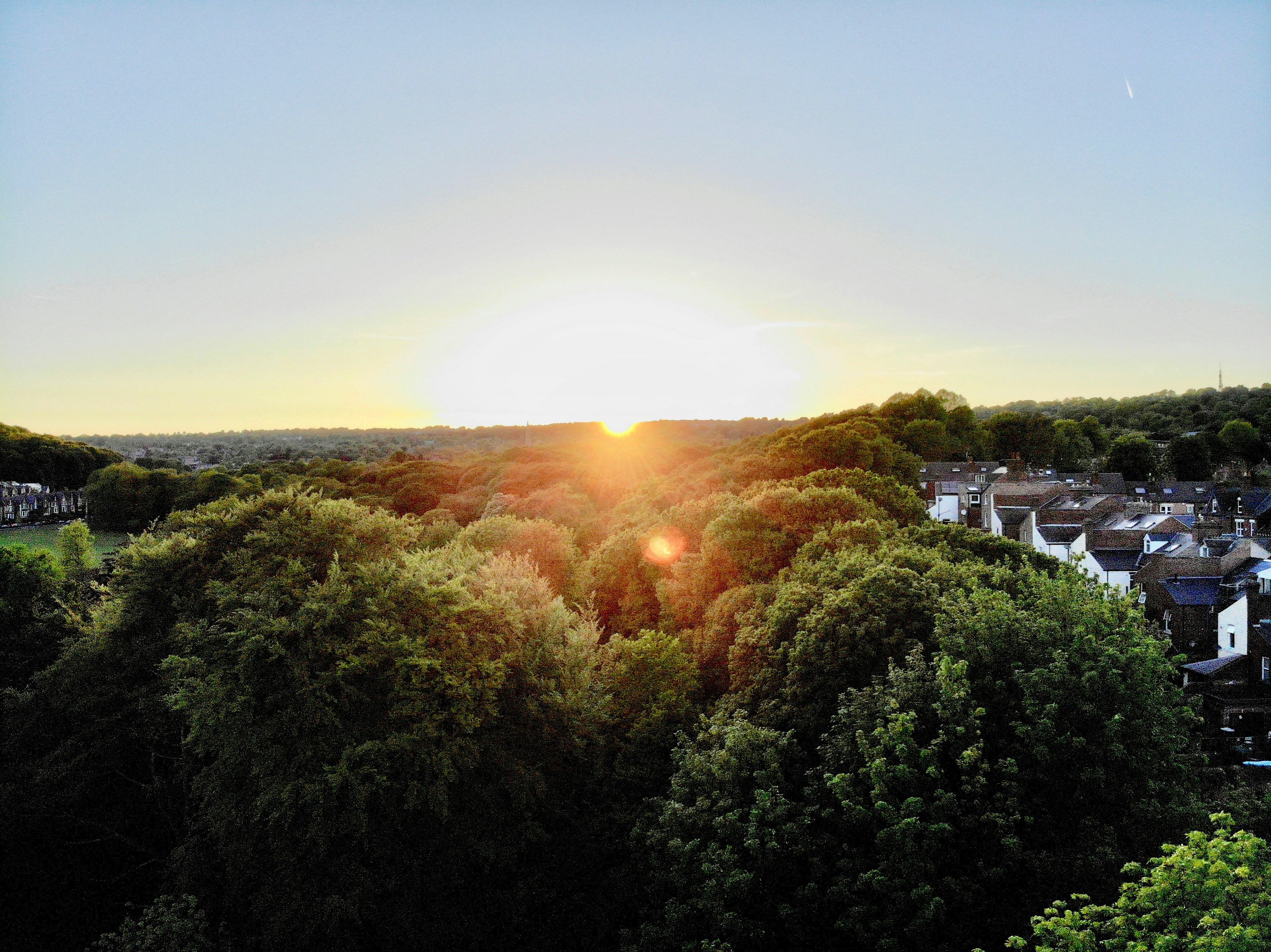 Sunset over Endcliffe Park. Help me continue to share images on Unsplash - I need a new camera: www.buymeacoffee.com/benjaminelliott