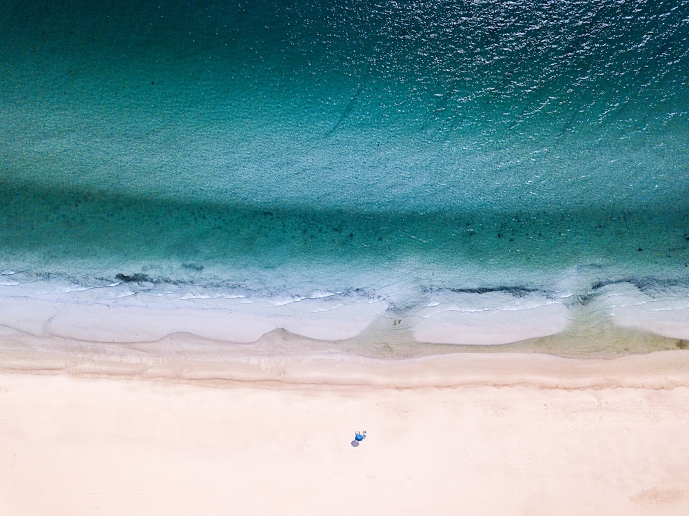 an aerial view of a sandy beach and ocean