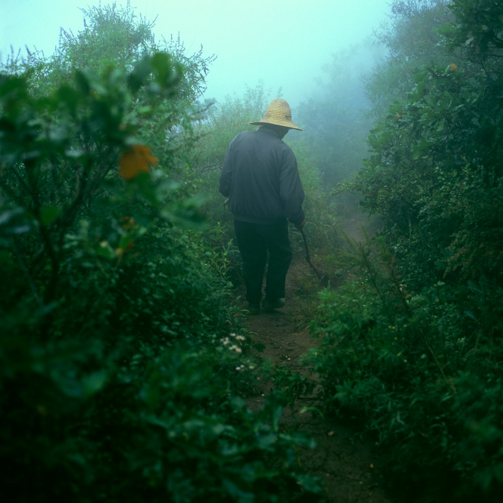 person walking in bushes with fog