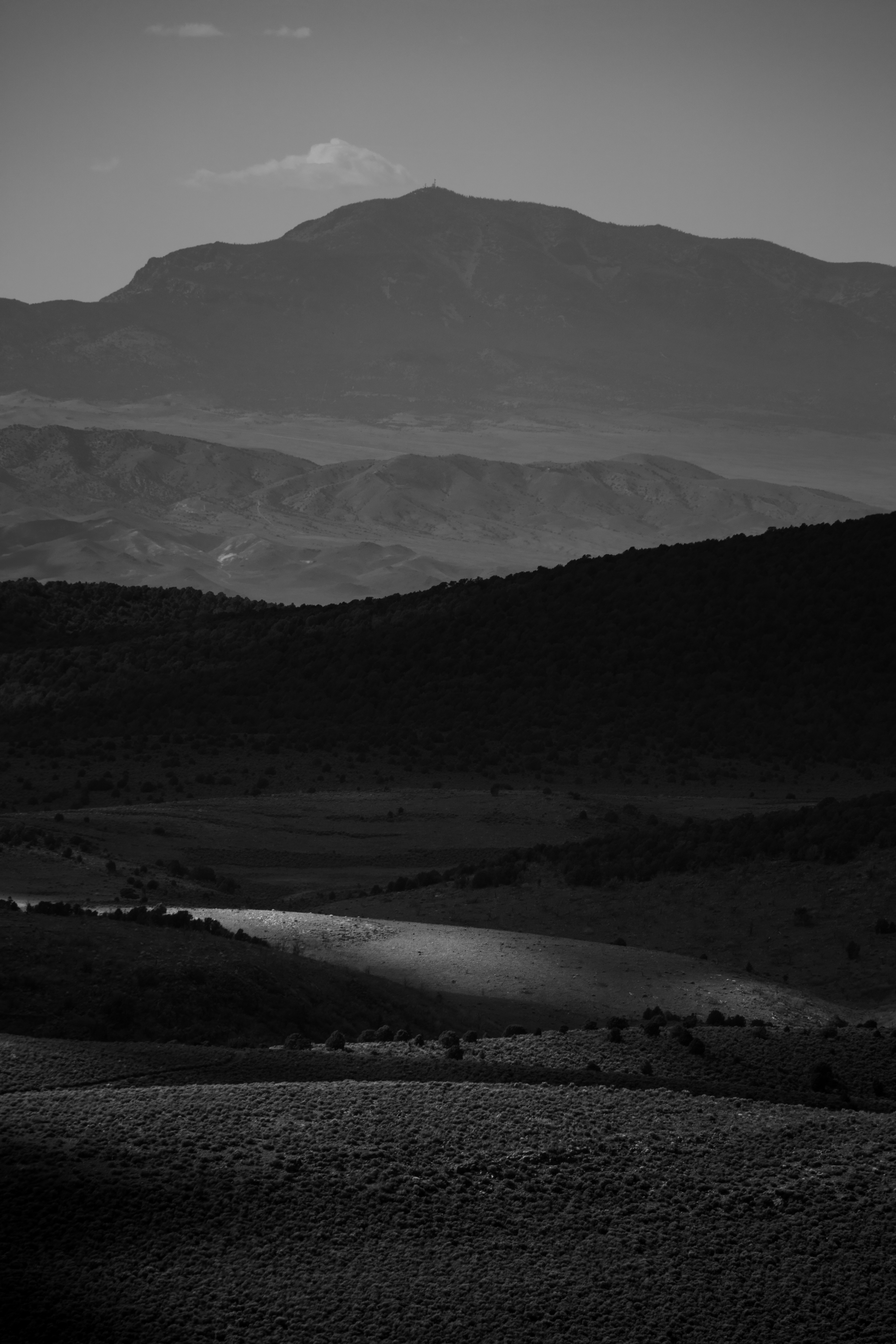 Analyzing customer data is one thing, having access to the customer's mind at decision time is another. We aim for the latter.